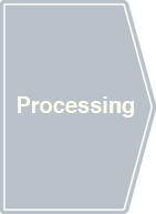 Processing