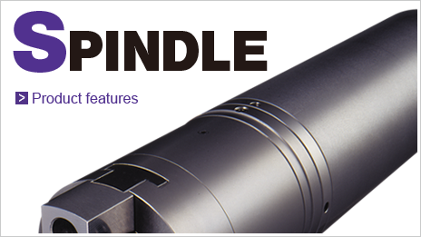 SPINDLE